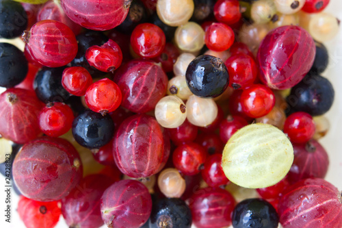 Beeren