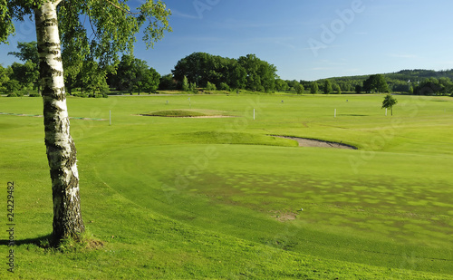 Canvas Print Swedish golf course landscape