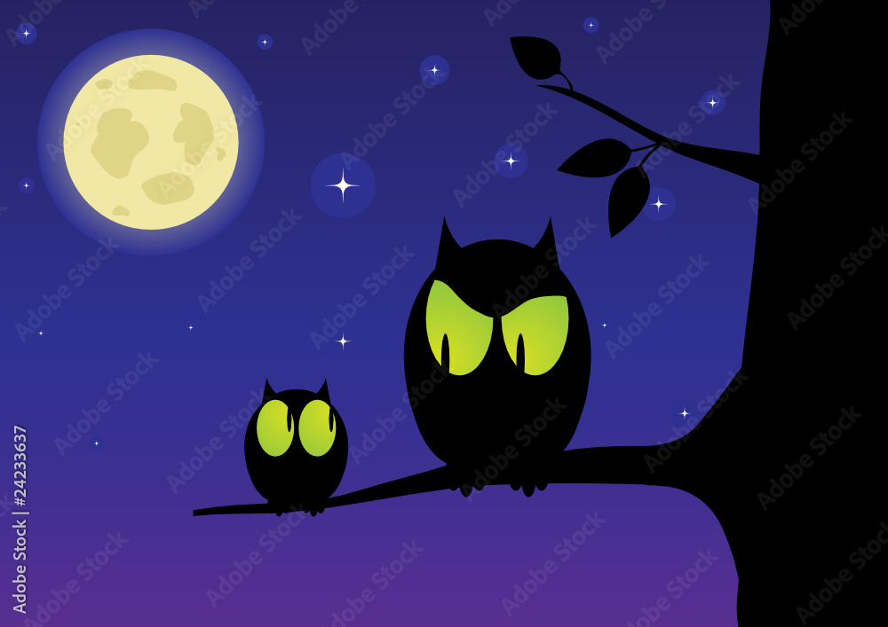 Fototapeta premium The owl and owlet