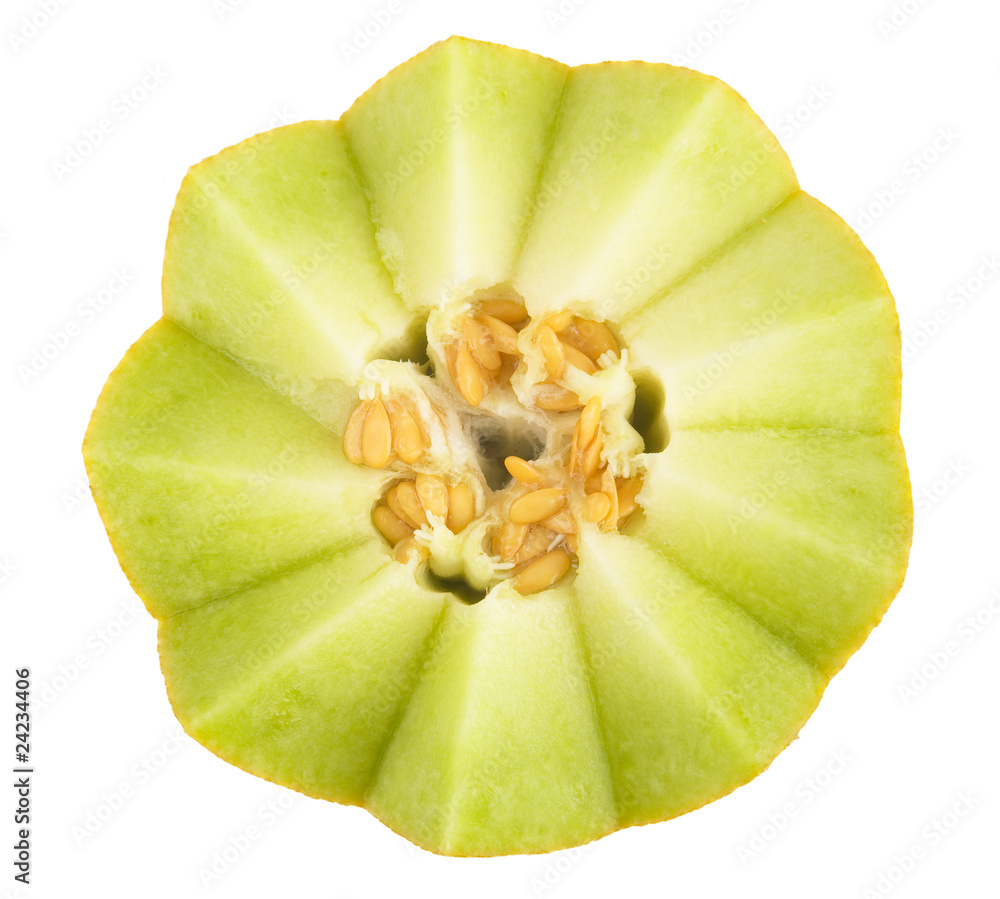 melon isolated on white background melon isolated on white background