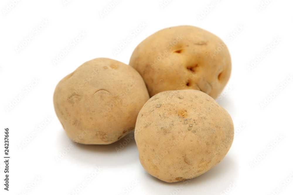 potato potato