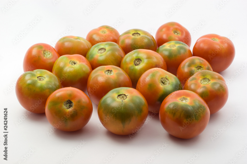 Tomatoes Tomatoes