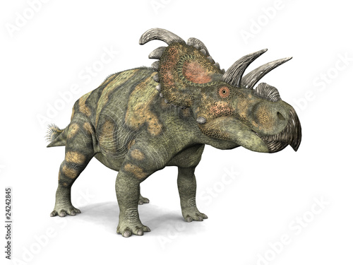 Albertaceratops © Michael Rosskothen