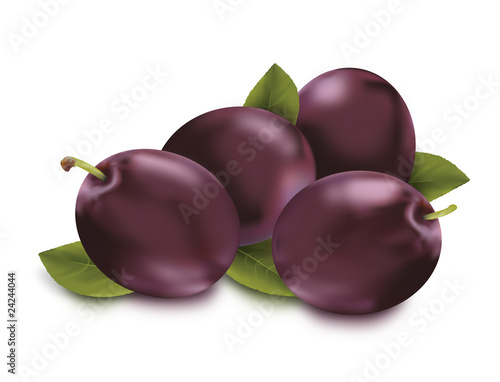 Illustration of isolated purple plums & leaves