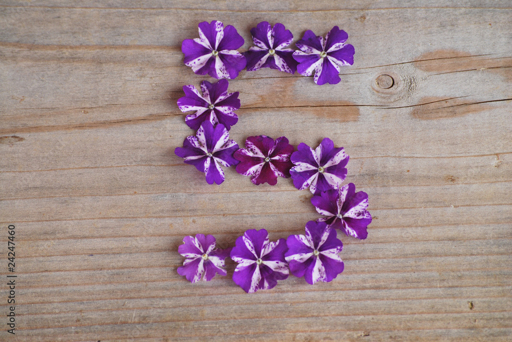 5 en fleurs 5 en fleurs