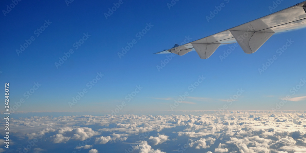 Fototapeta premium aile d'avion