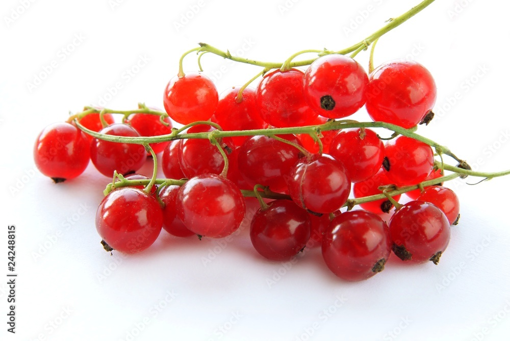 clusters of red currants