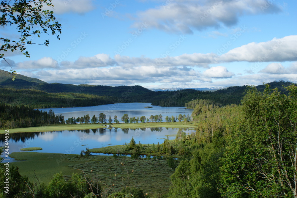 Fototapeta premium Blick aus dem Hotel Austbo in der Telemark in Norwegen