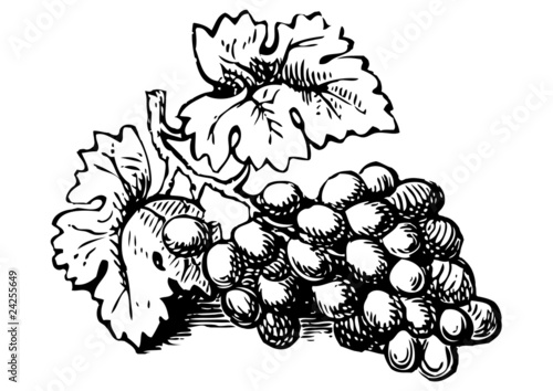 grabado racimo de uvas negro