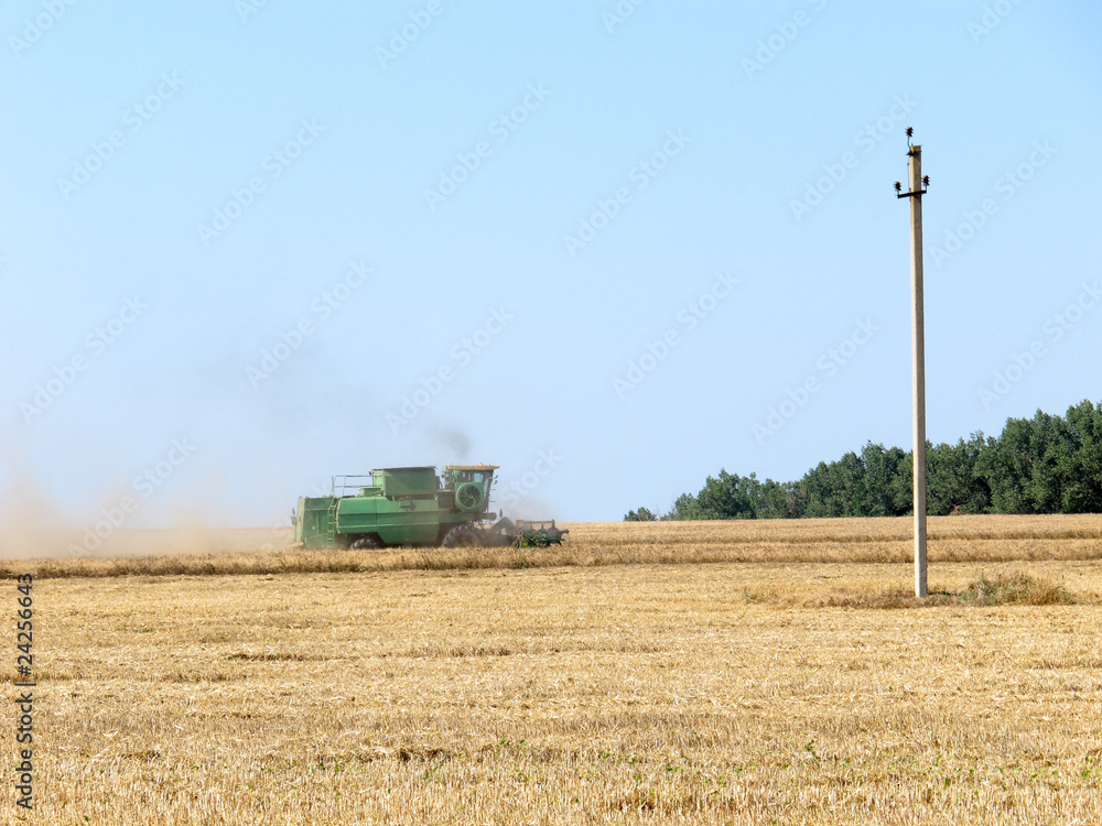 Obraz premium grain harvester combine