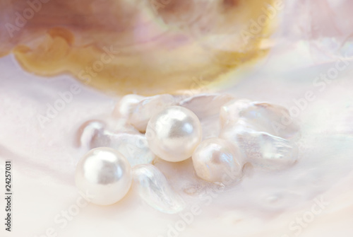 Macro of pink pearls in an oyster shell