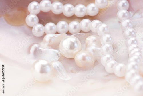 Macro of pink pearls and necklace in an oyster shell