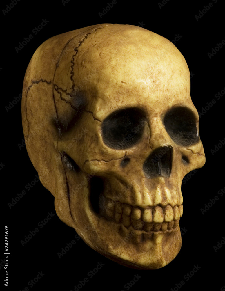 skull on black skull on black