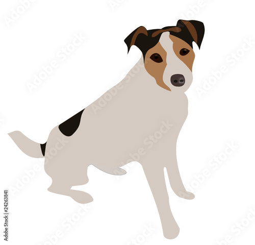 Jack Russel