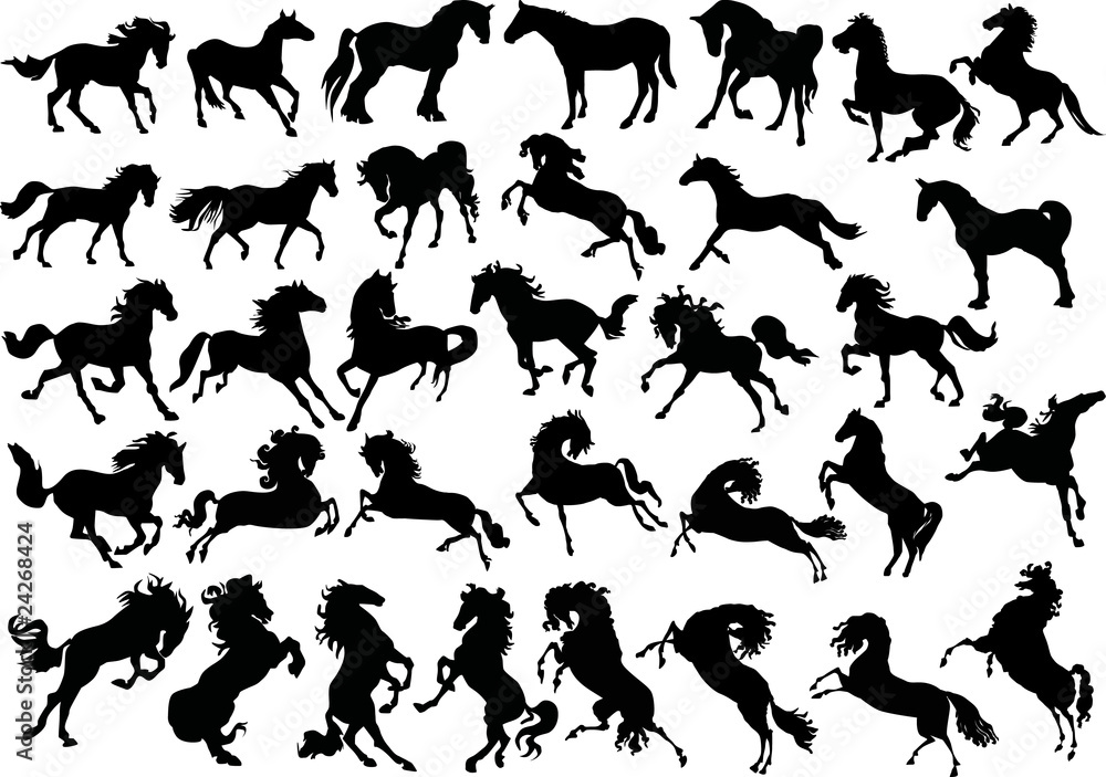 thirty four horse silhouettes thirty four horse silhouettes