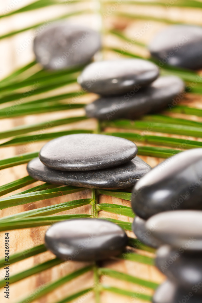 black stones and green leaf