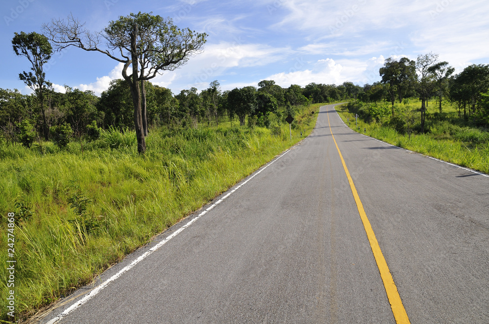 Fototapeta premium On the road - Saithong National Park