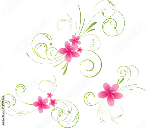 Colorful plumeria floral elements