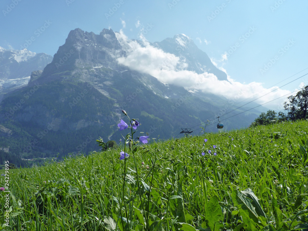 Fototapeta premium grindelwald first