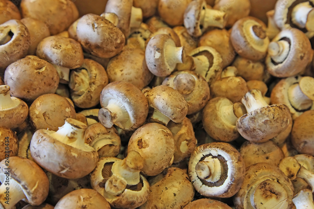 Mushrooms in a market Mushrooms in a market