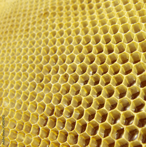 Honey in honeycombs
