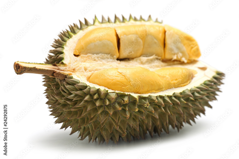 Fototapeta premium Durian
