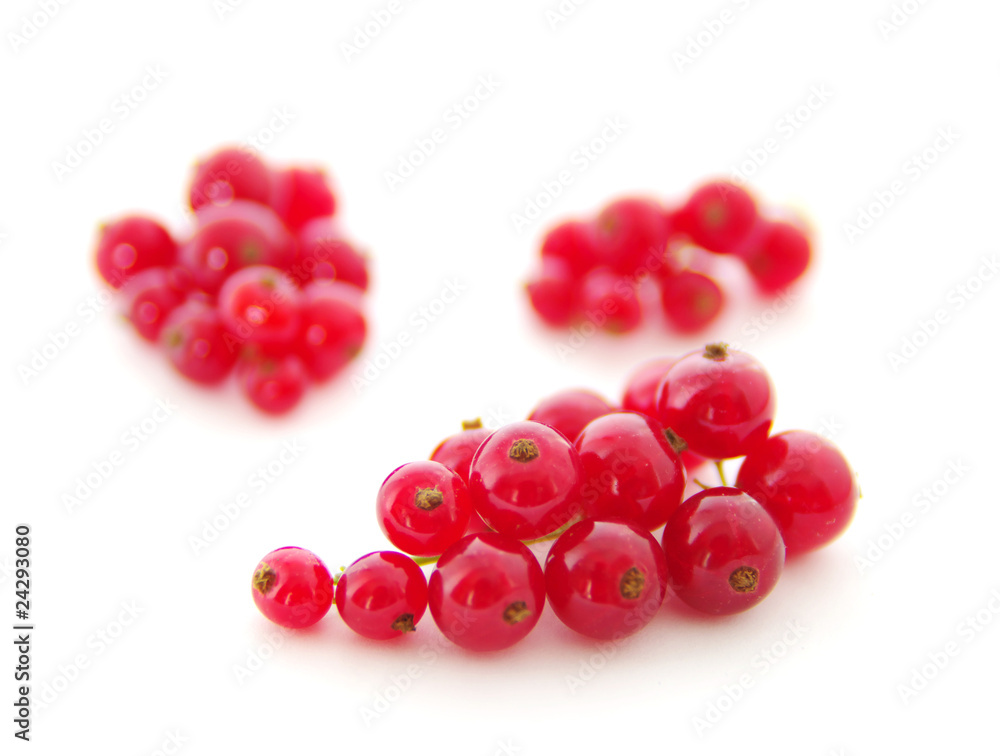 red currants red currants