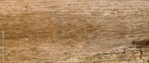 closeup of old wood texture