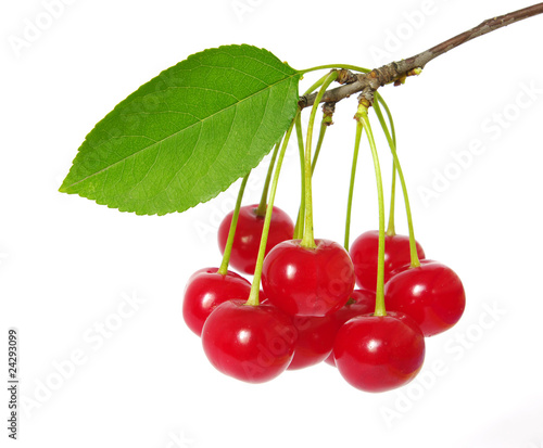 cherries