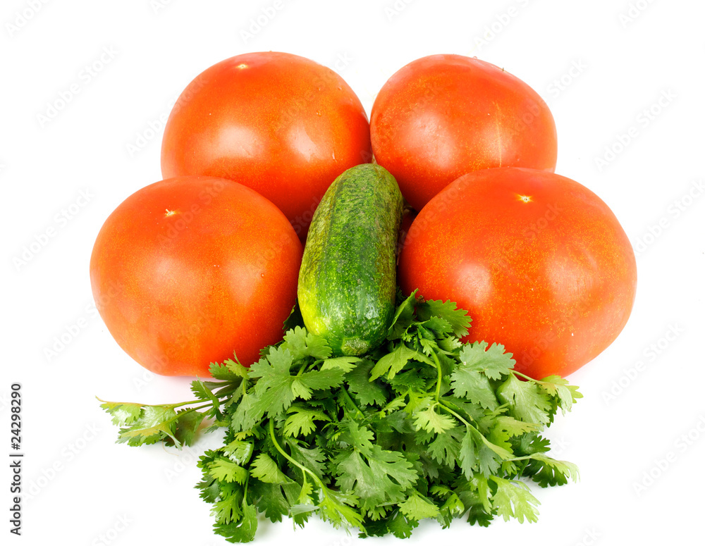 Tomato and cucumber with coriandr Tomato and cucumber with coriandr