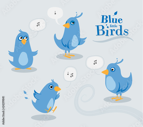 Group of blue little Birds