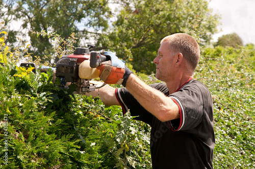 man trimming hedge with motorised cutter