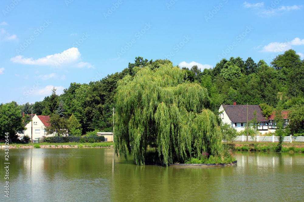 lake willow houses blue sky