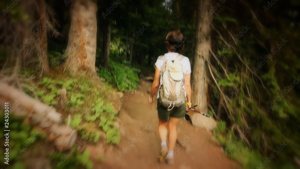 (1219) Mountains Forest Trail Woman Hiker Summer Trees (1219) Mountains Forest Trail Woman Hiker Summer Trees