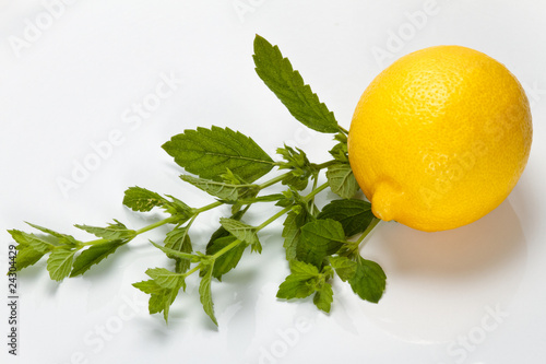 Lemon and lemon balm