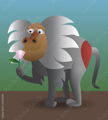 baboon sniffing flower