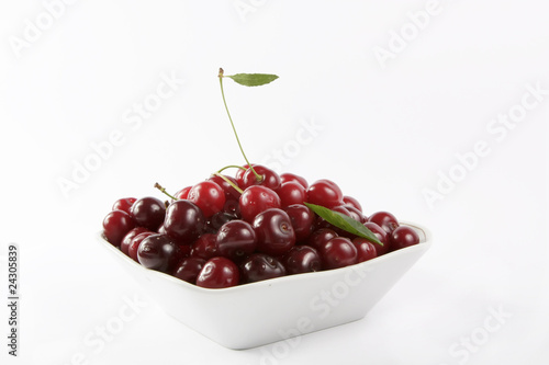 Obraz na plátne SOUR CHERRIES