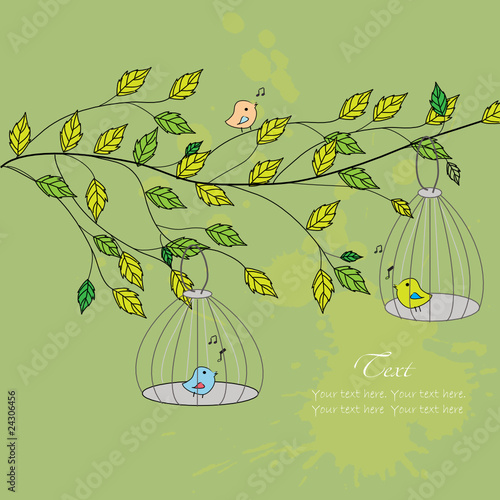 Birds on the branch in cages