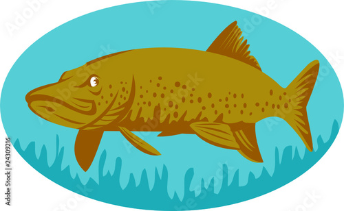 pike or muskie fish