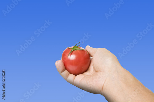 トマトを持つ手
