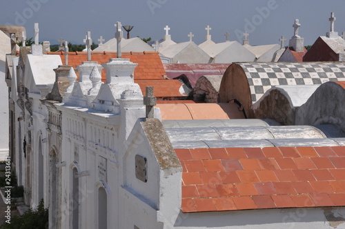 Cimetière de Bonifaccio, Corse photo