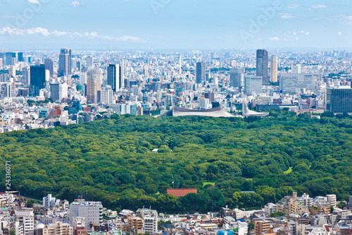 明治神宮と代々木体育館と渋谷周辺への眺望