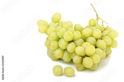 Photography Ripe grapes
