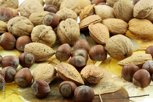 fruits secs, amandes, noix, noisettes sur feuilles d'automne photo