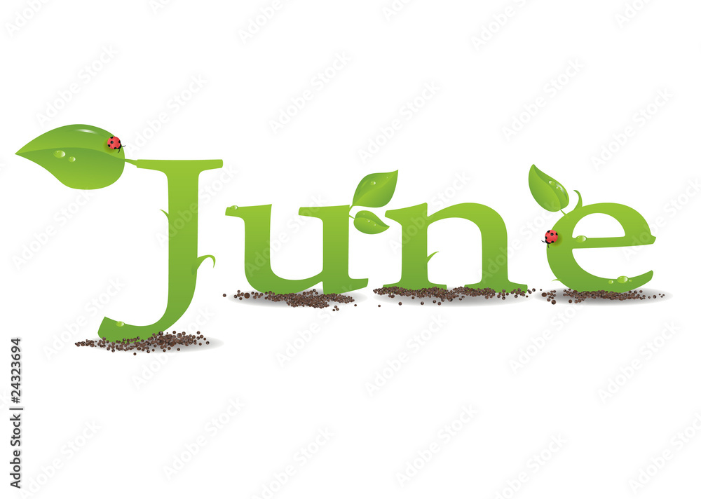 Fototapeta premium june