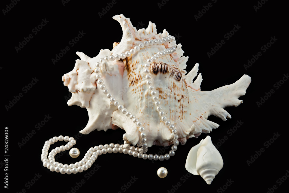 Sea shells and pearls over black background Sea shells and pearls over black background