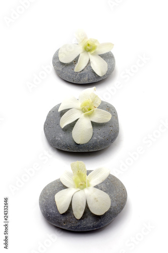 Spa composition of orchid on stones