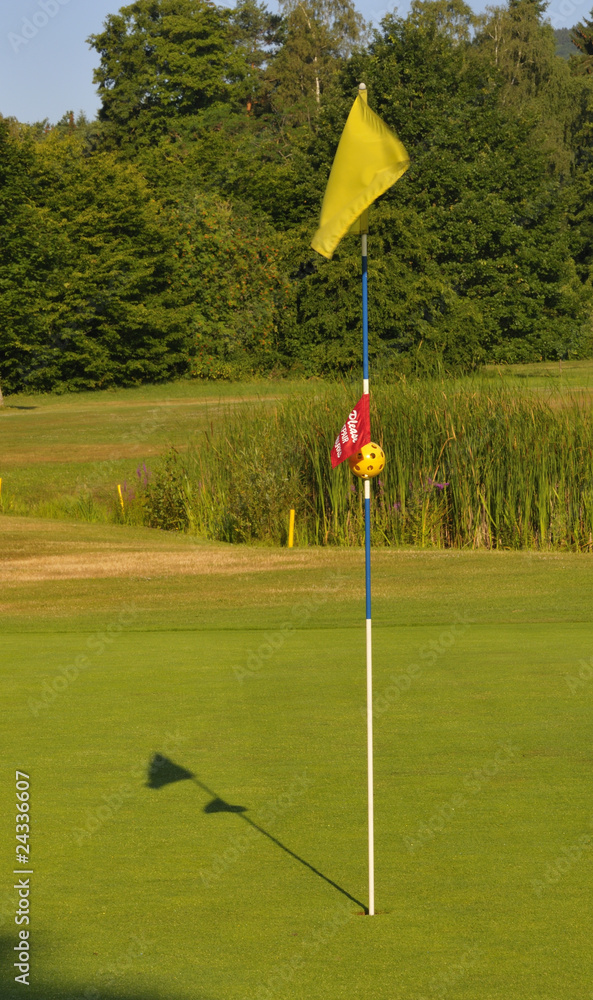 Obraz premium Golffahne