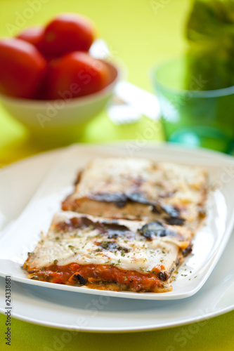 tasty plate of vegetal lasagna
