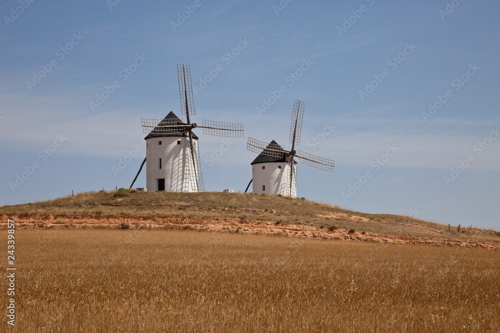 Fototapeta premium Molinos de viento